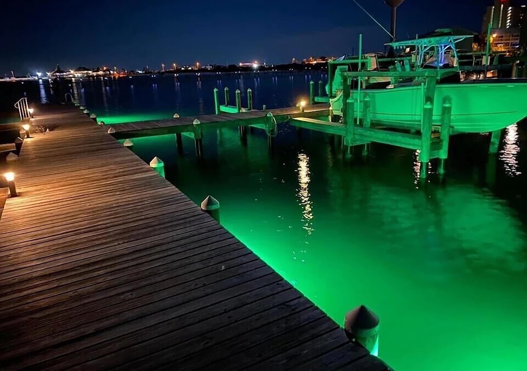 Do some night fishing on the pier