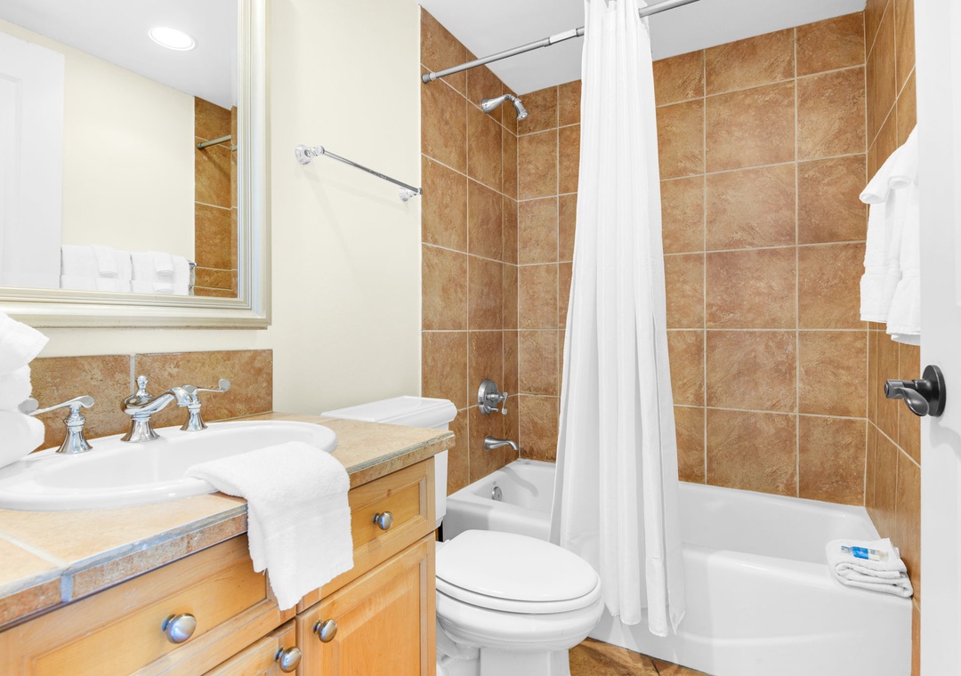 Guest bathroom 1
