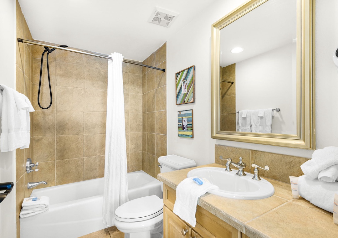 Guest bathroom with shower/tub combo