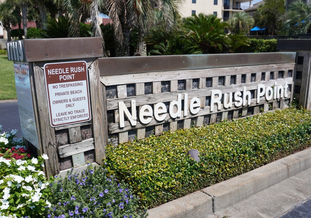 Needle Rush Point Complex