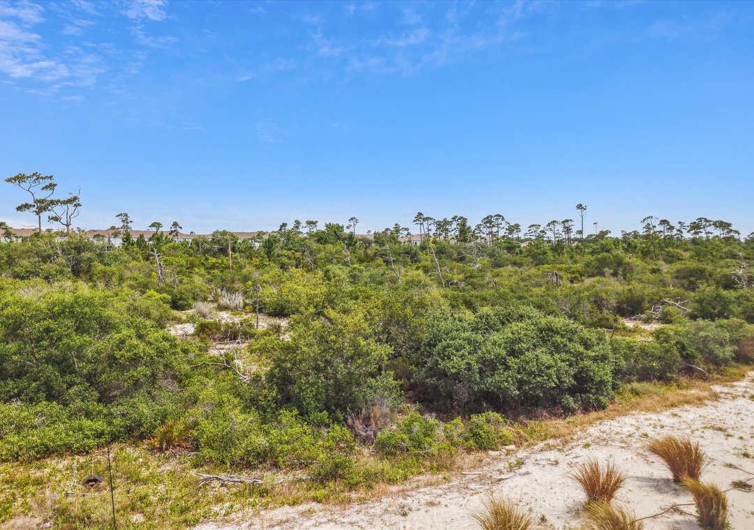 exterior-view-120187154