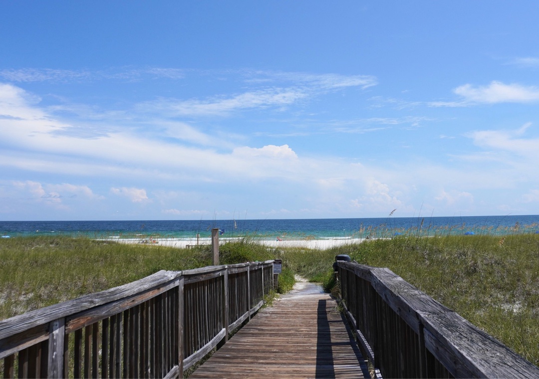 Needle Rush Point Complex 3