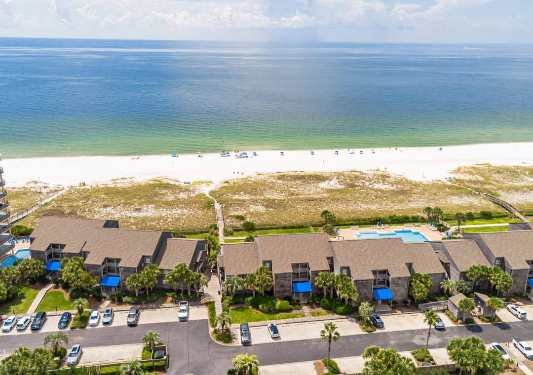 Needle Rush Point Drone-10