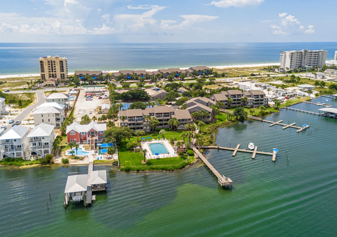 Needle Rush Point Drone-5