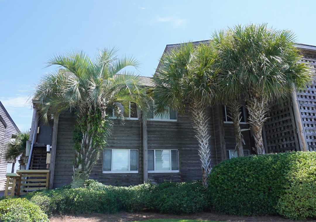 Needle Rush Point Complex 1