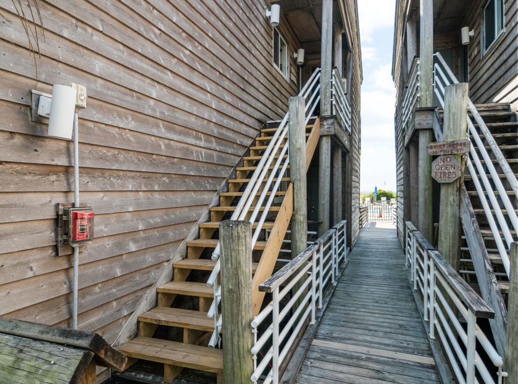 Needle Rush Point C26 2