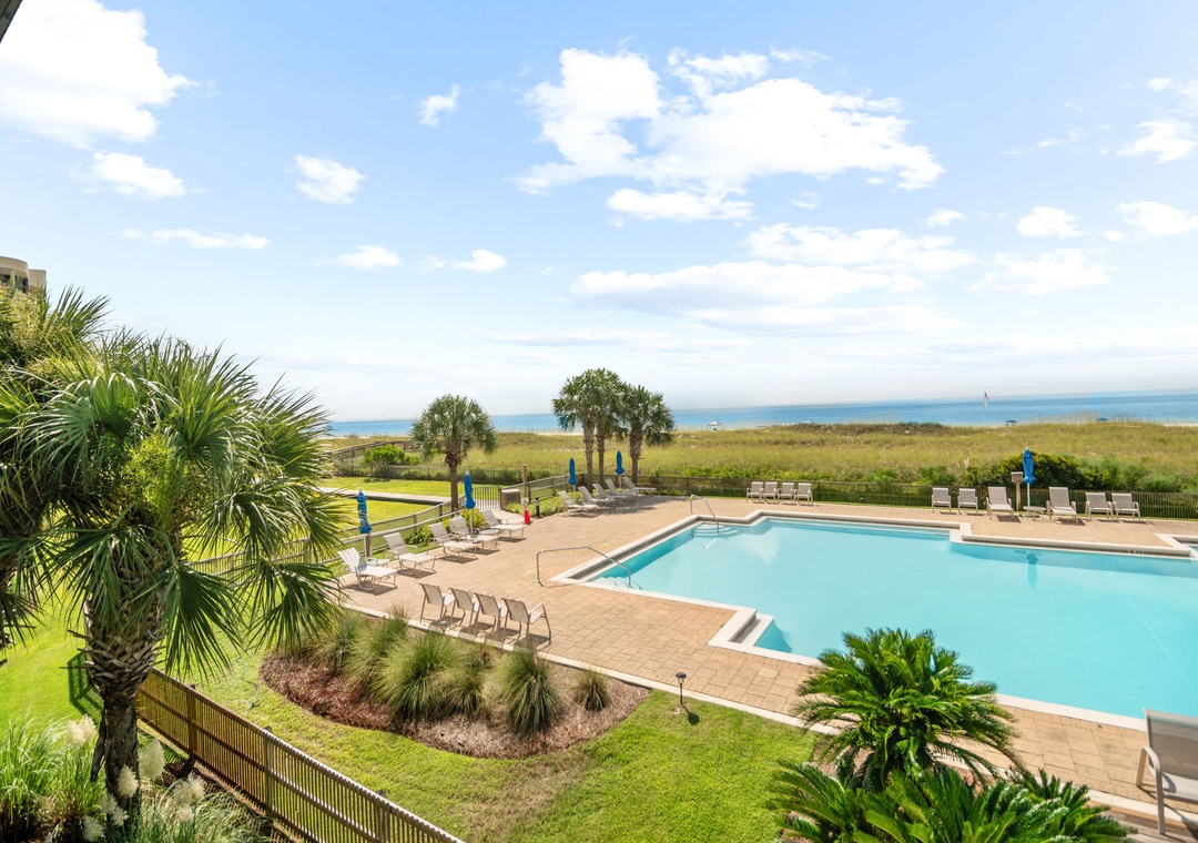 Needle Rush Point C26 - Pool