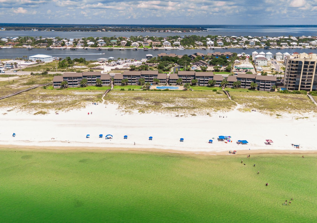 Needle Rush Point Drone-15