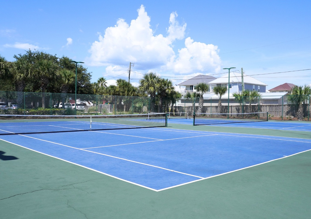 Needle Rush Point Complex 11