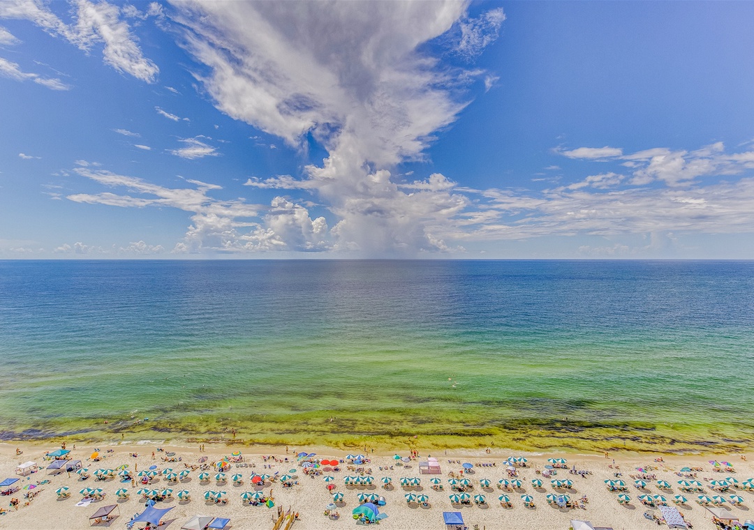 Beach Colony Tower 15B View Of Beach And Ocean