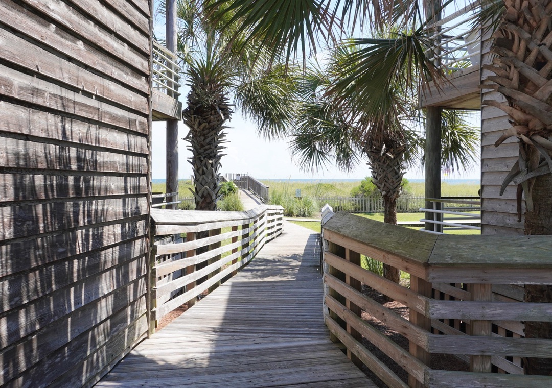 Needle Rush Point Complex 9