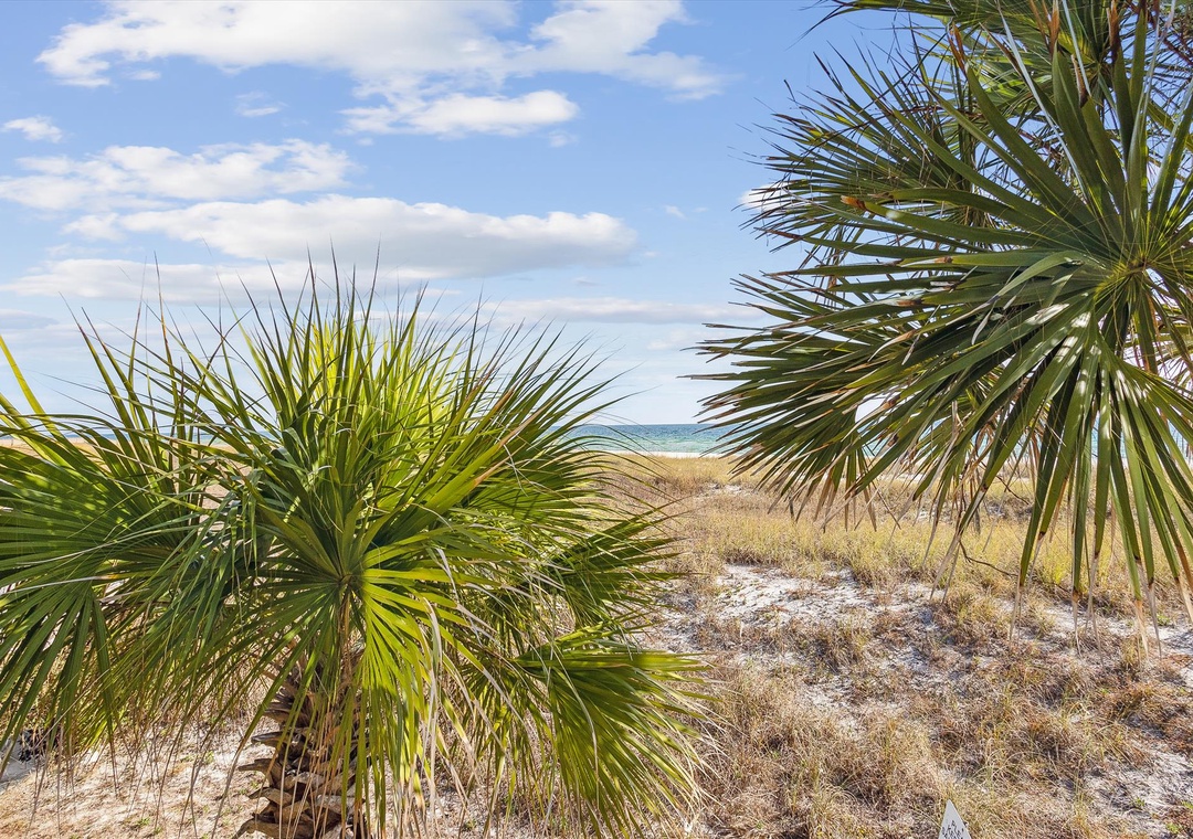 main level-view-126171_124