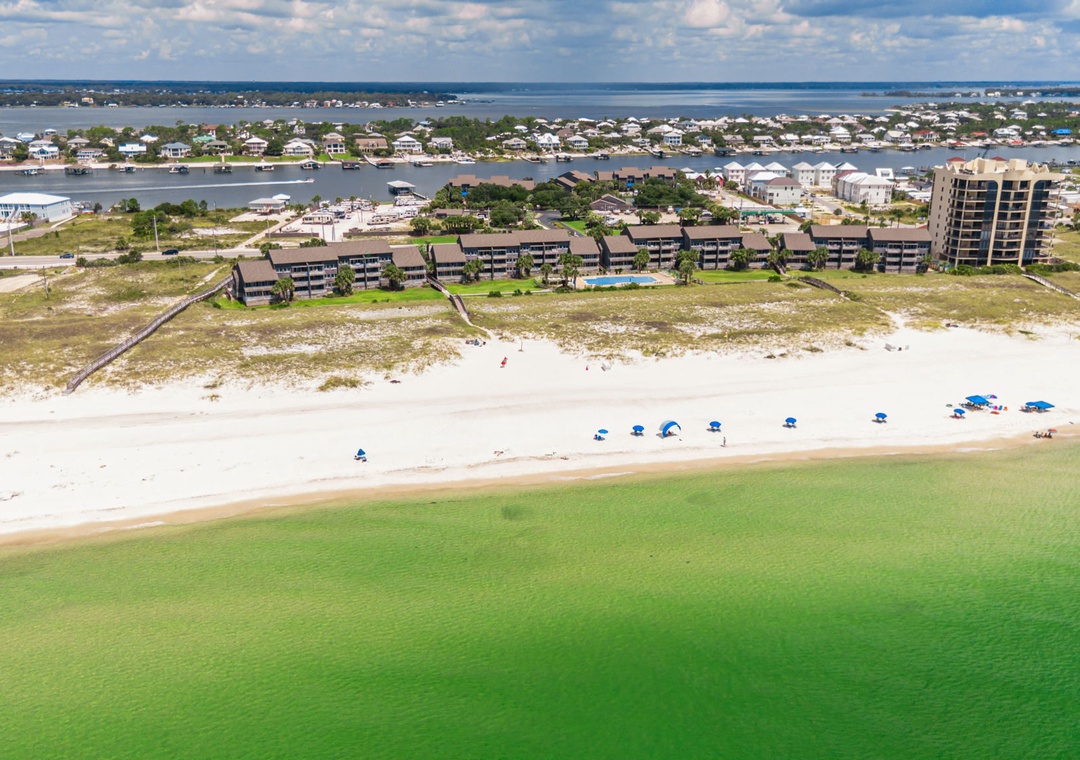 Needle Rush Point Drone-16