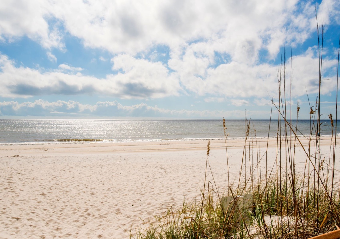 Windemere Resort Beach With Grass On Dunes
