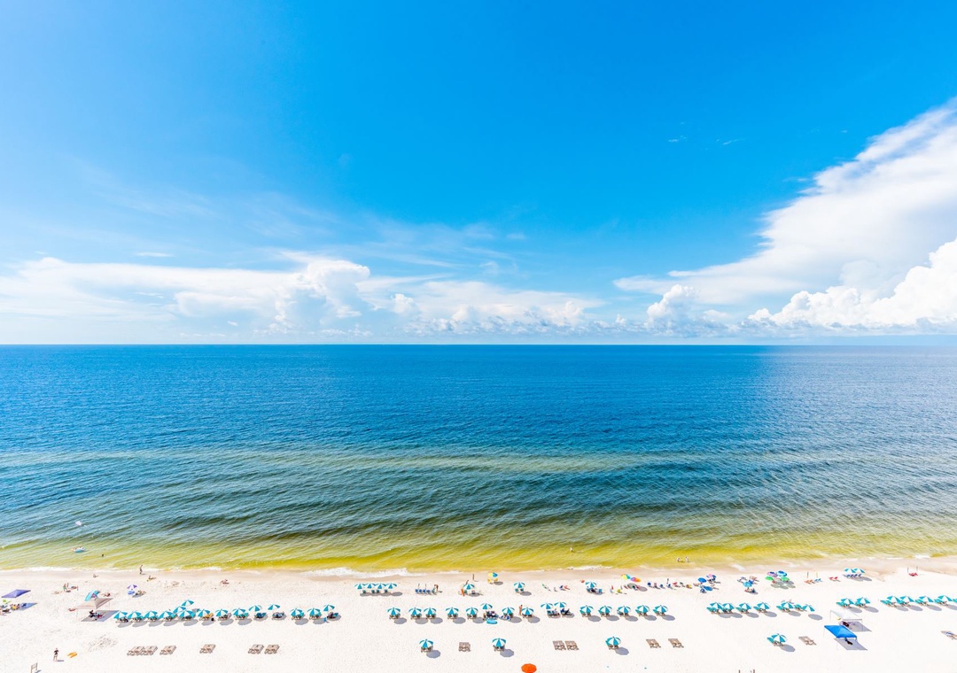 Beach Colony Tower 15A View Of Beach And Ocean