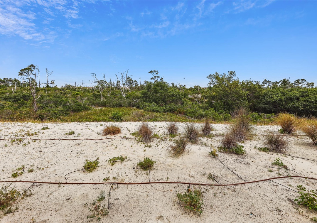 exterior-view-120187162