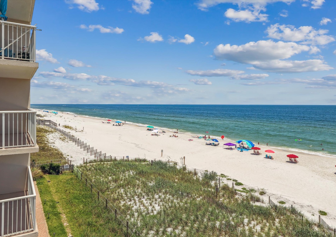 interior-view-123041158