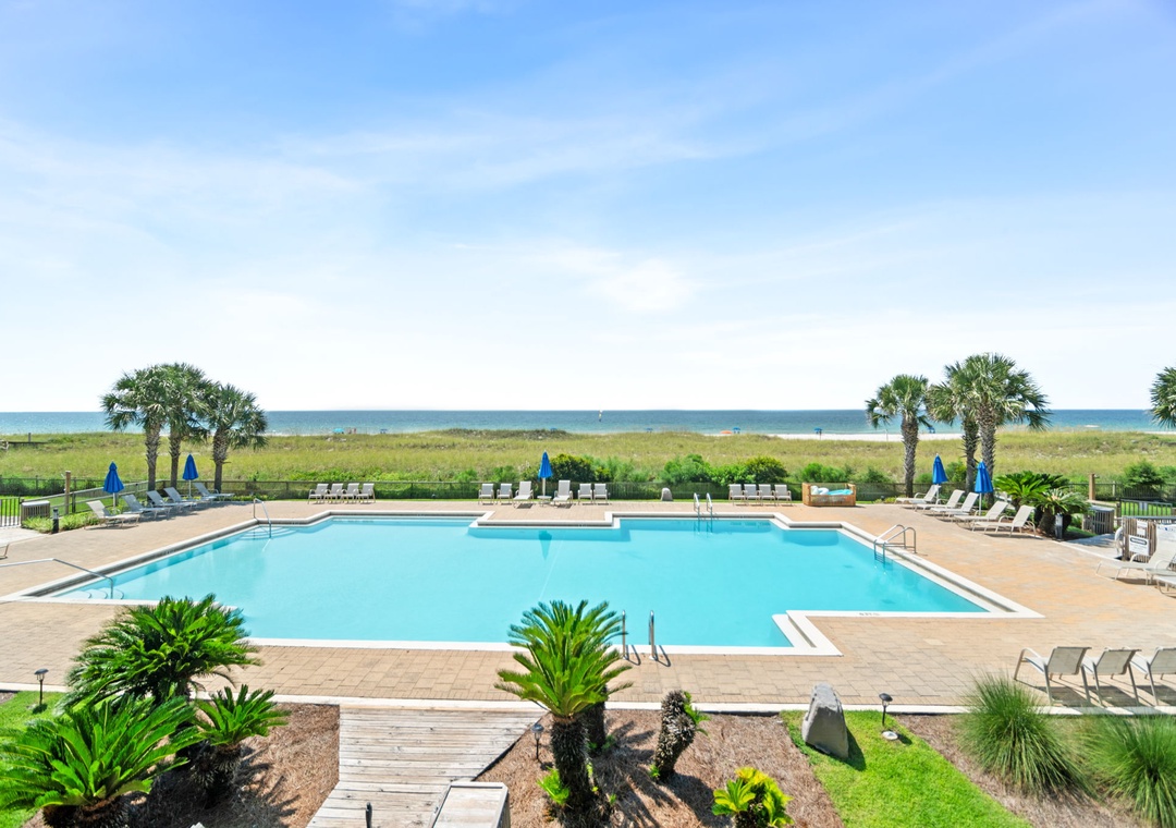 Needle Rush Point Common 5th Image