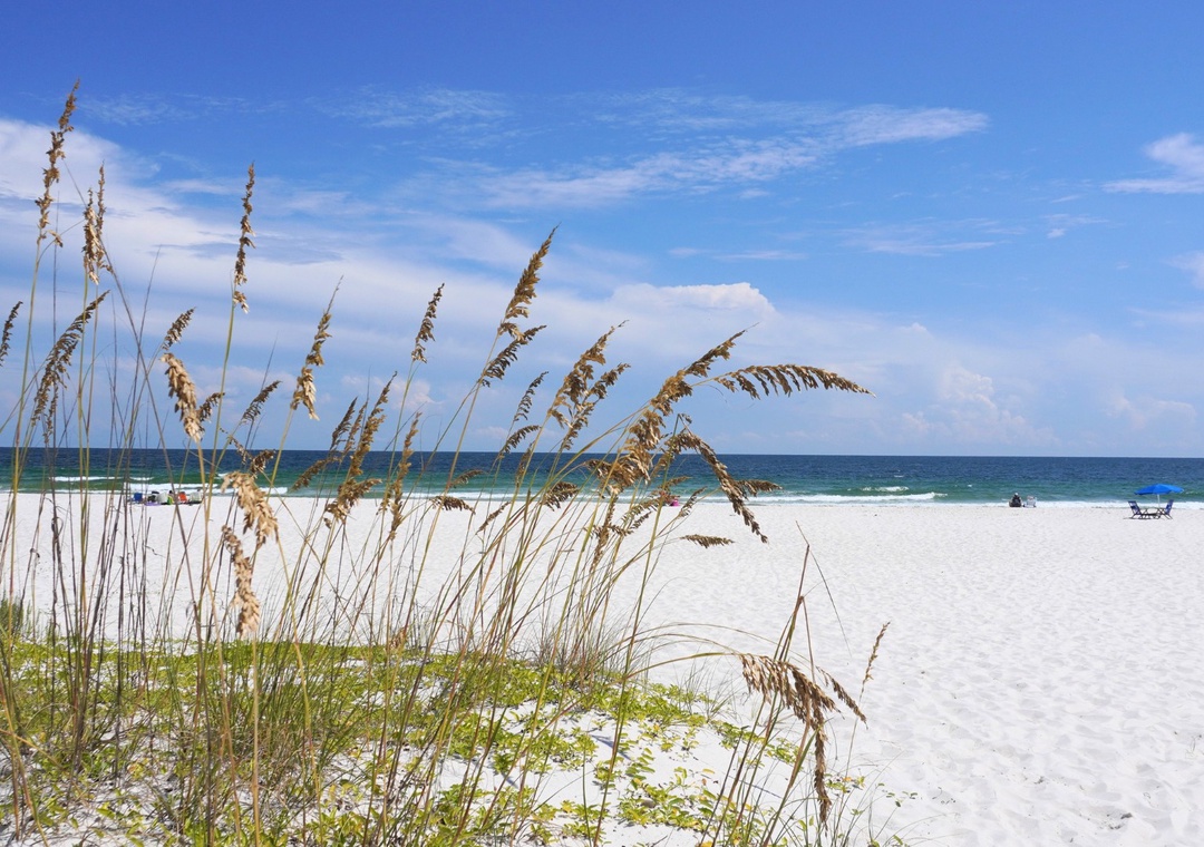 Needle Rush Point Complex 4