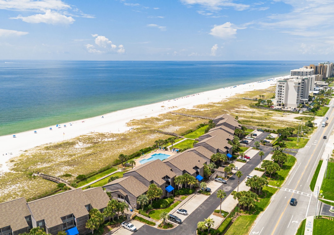 Needle Rush Point Drone-11