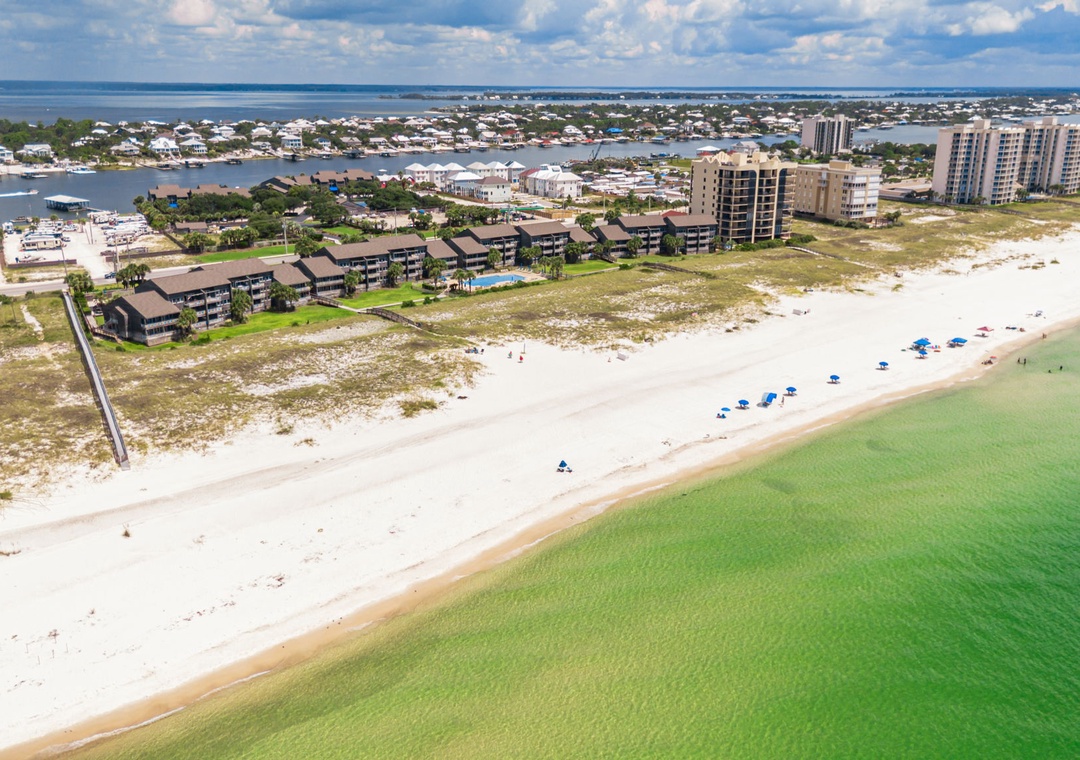 Needle Rush Point Drone-17