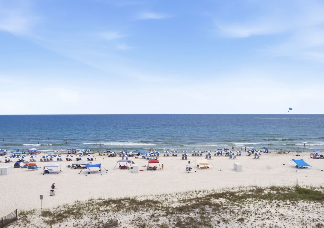 Sandy shoreline with rows of beach chairs and umbrellas stretching along calm, welcoming waters under clear blue skies.