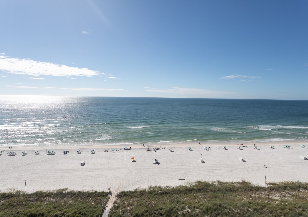 Seachase - View of the Gulf