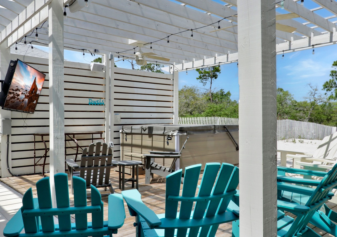 Back Patio with TV and Swim Spa