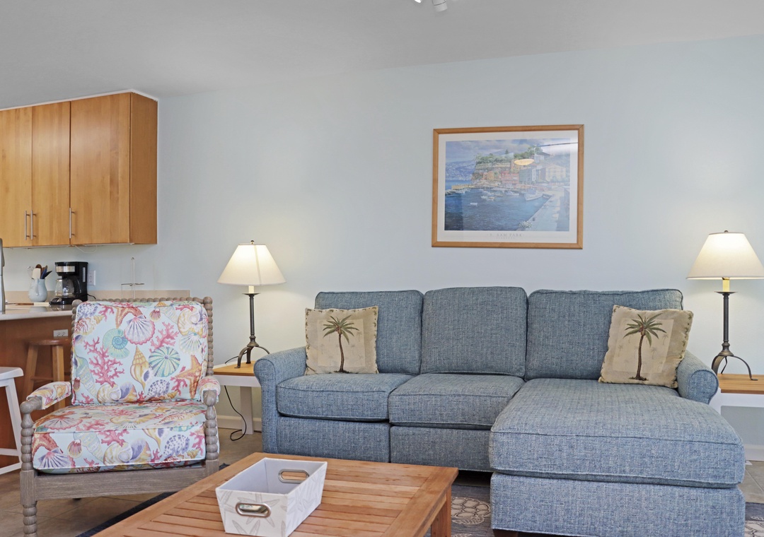 Living Room Sofa