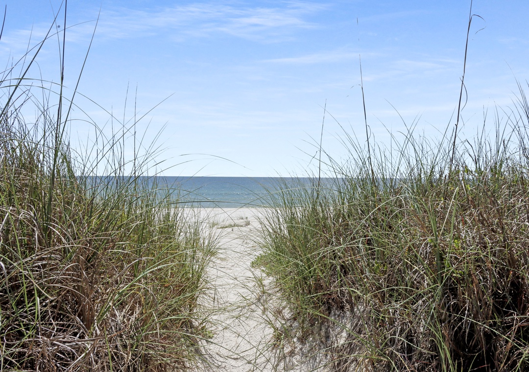 Pathway to Beach