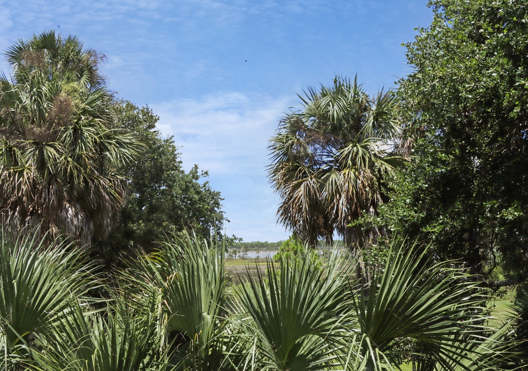 Lagoon View from Back Deck