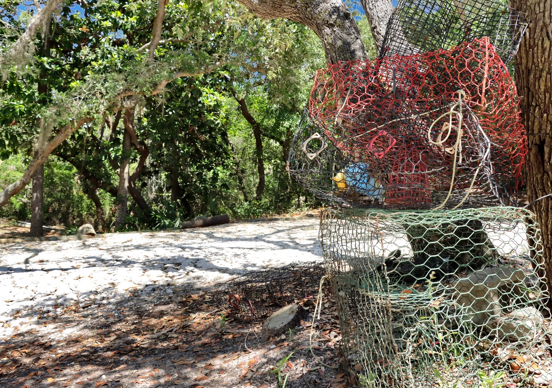 Crab Baskets