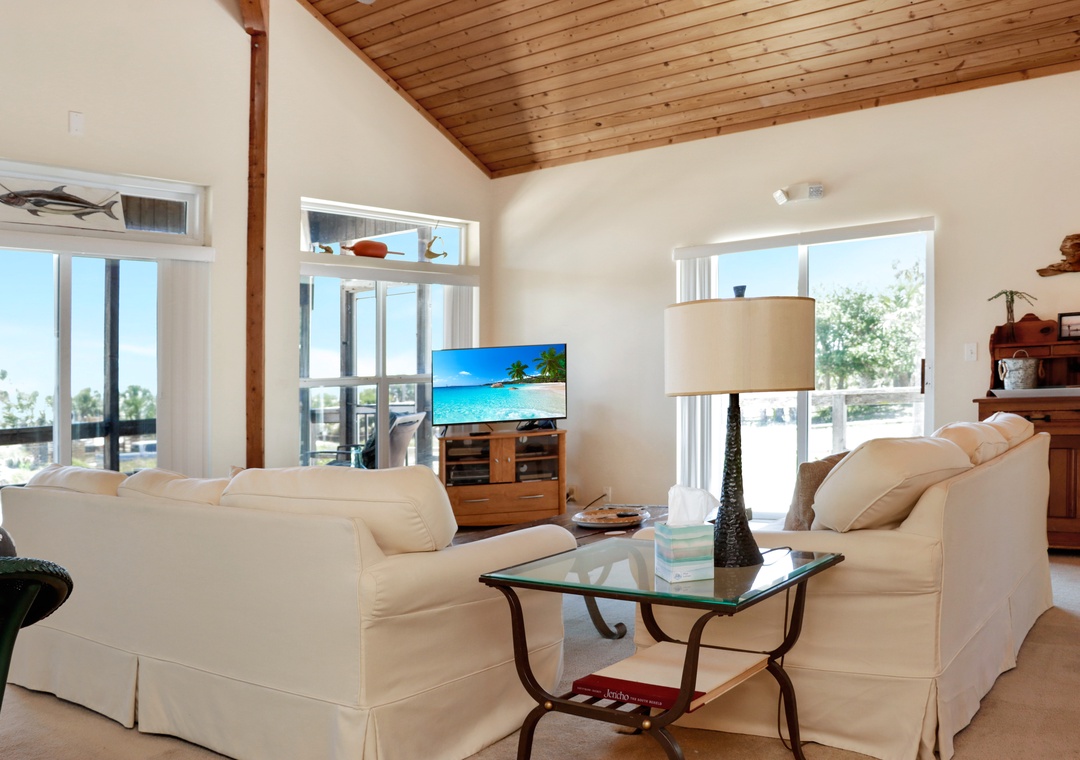 Living Room with TV
