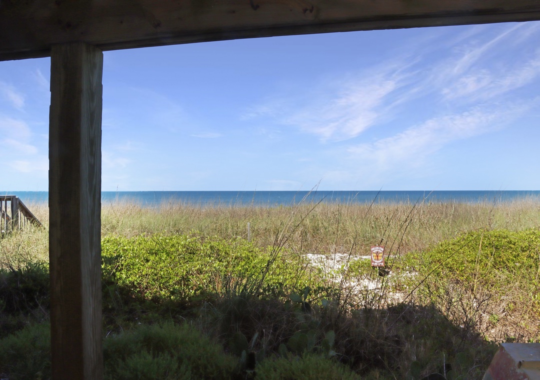 Beach View from Under House