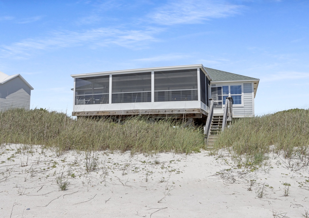 Turtle's Nest