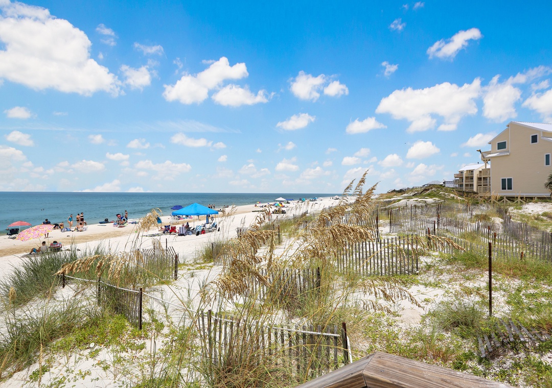 View to the North from the Community Boardwalk