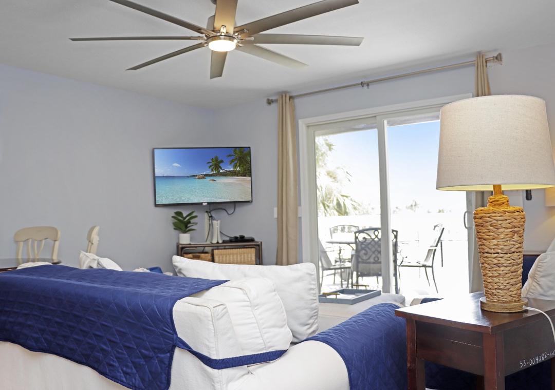 Living Room with Deck View and TV