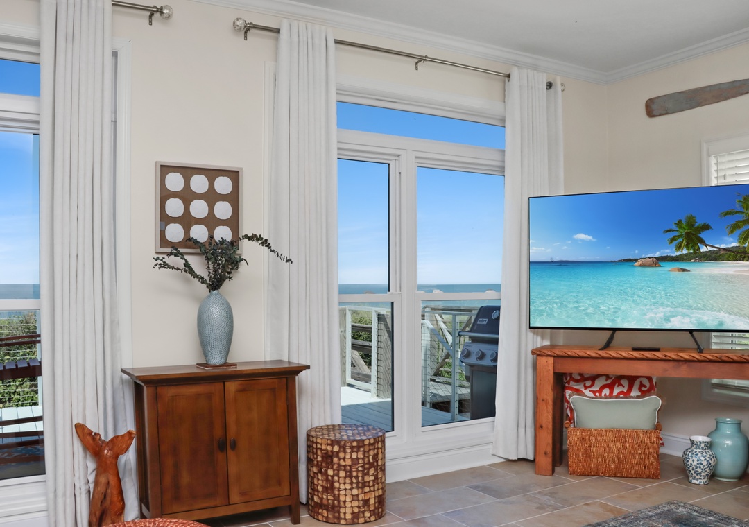 Living Room TV