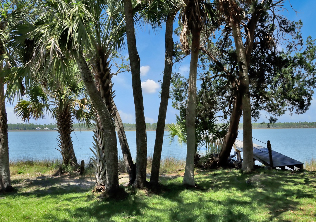 Backyard - Lagoon Front