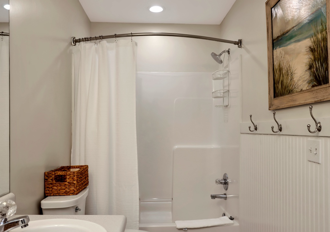 Master Bathroom Shower/Tub Combo
