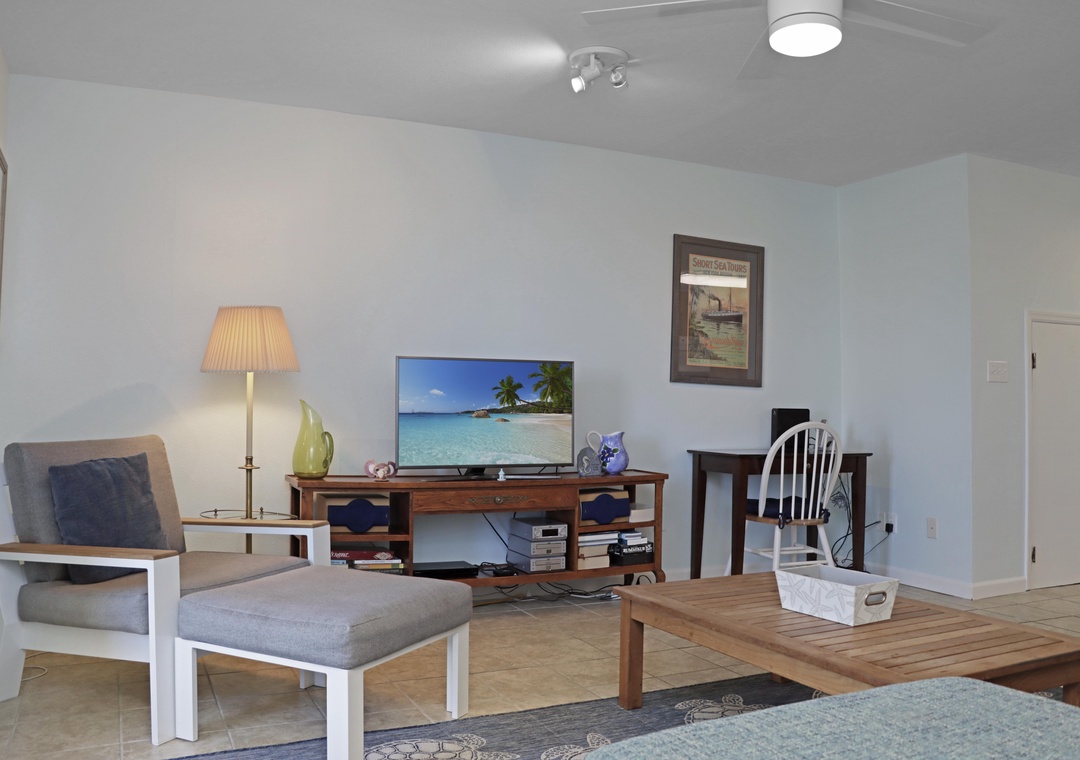 Living Room - TV and Workspace