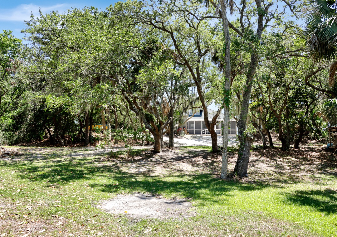 Exterior View Through the Shade Trees
