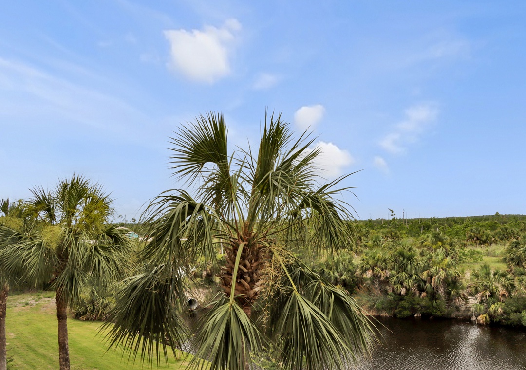 Canal View from Rear Deck