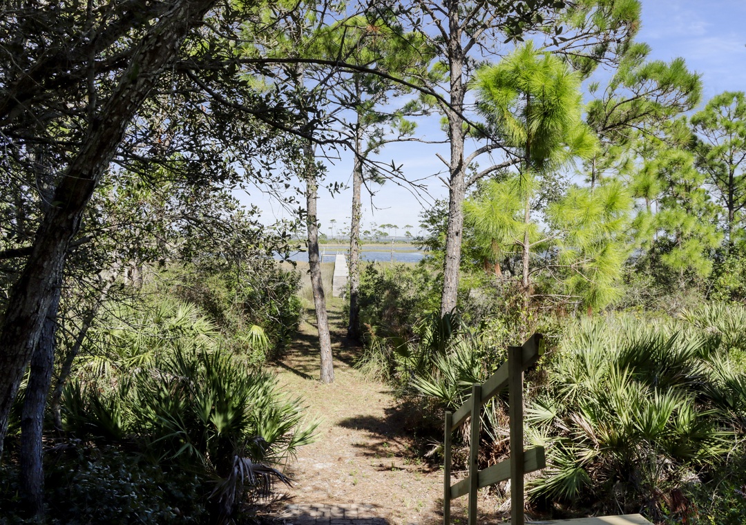 View of Backyard From Under House