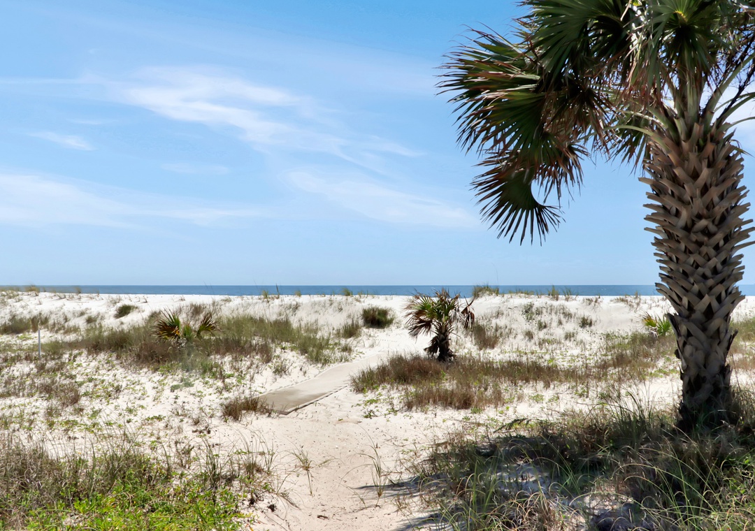 Quiet Beach in Front of House