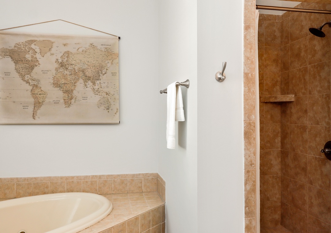 Bedroom 5 - Master Bathroom Shower and Tub