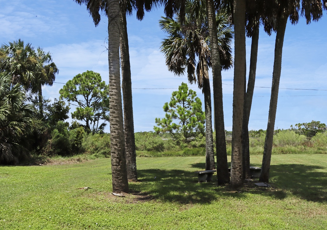 Backyard on Lagoon