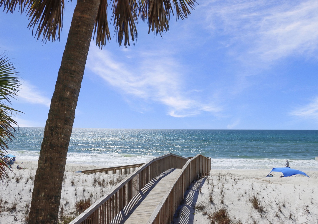 Barrier Dunes 156 - 11 Sand Dollar Dreams