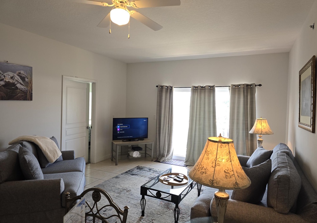 Living Room With Sleeper Sofa