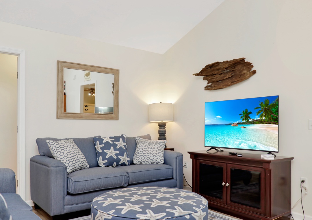 Living Room with TV